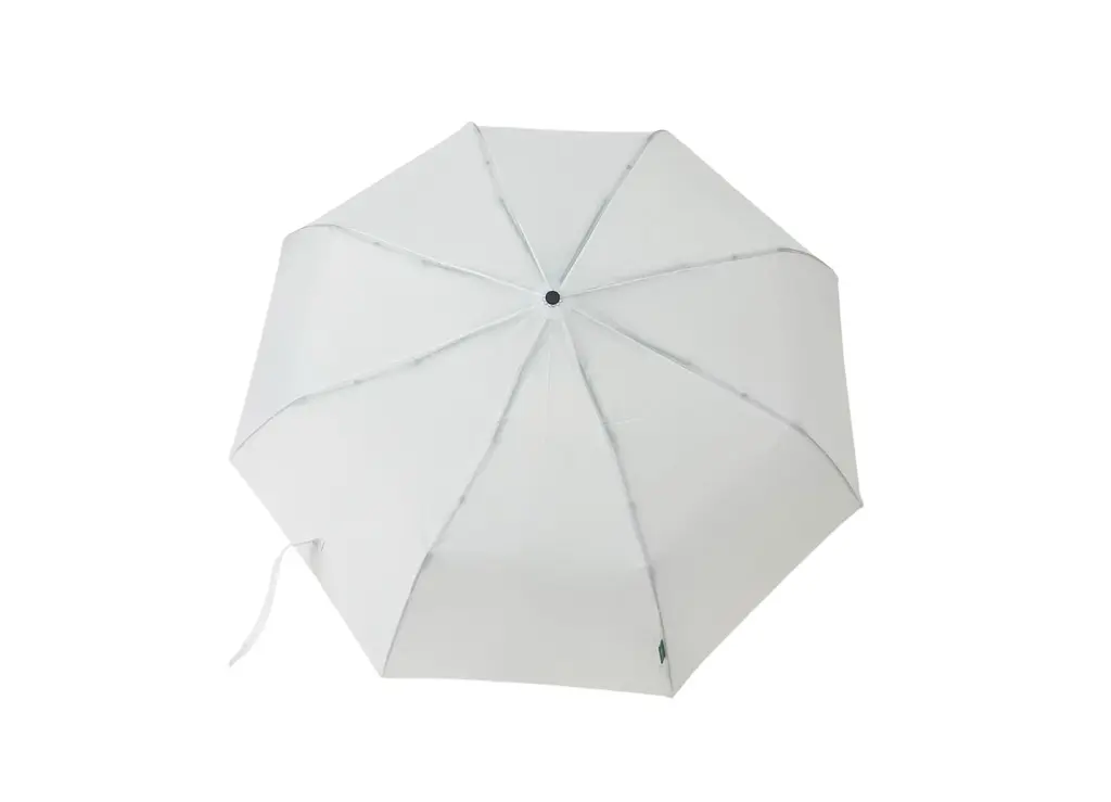 additional_image_2.webp