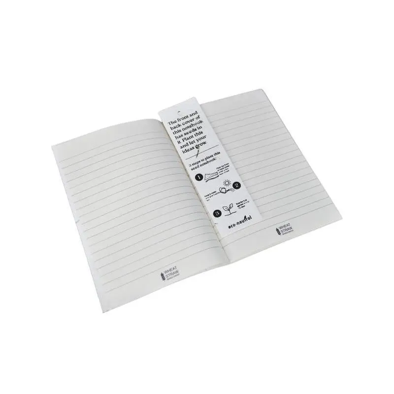 additional_image_2.webp