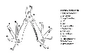 additional_image_2.webp