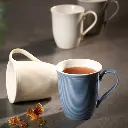 additional_image_1.webp