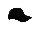 additional_image_1.webp