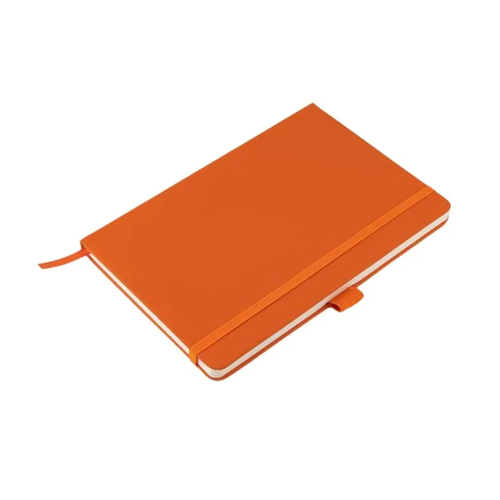 additional_image_2.webp