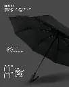 additional_image_8.webp