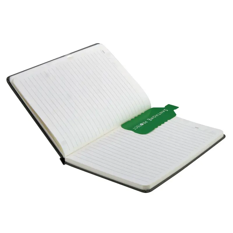 additional_image_3.webp
