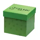 additional_image_1.webp