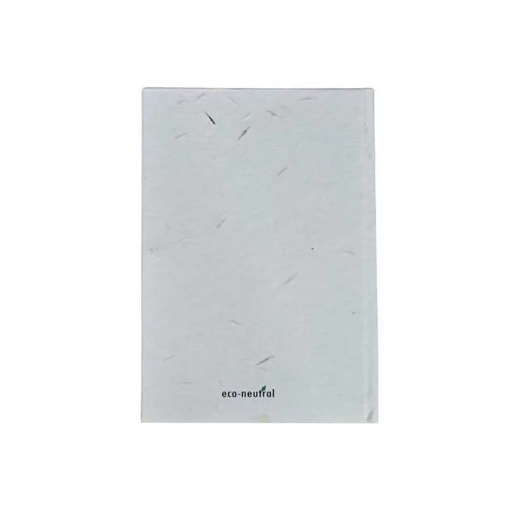 additional_image_2.webp