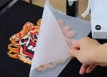 [DTF8] Digital Transfer